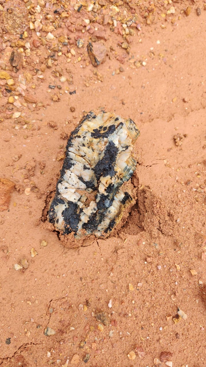 Gold and bauxite mining 29